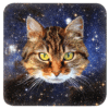 Cat face with a space background coaster.