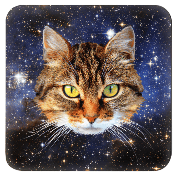 Cat face with a space background coaster.