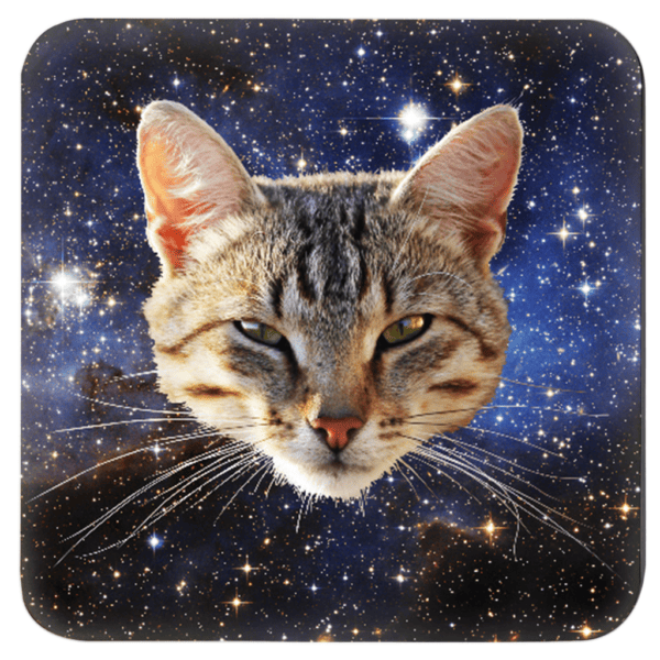 Kitten face with a space background coaster.