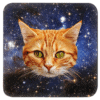 Orange kitten face with a space background coaster.