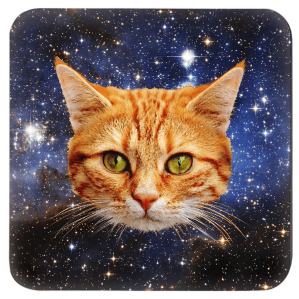 Orange kitten face with a space background coaster.