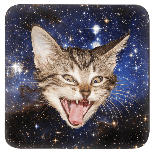 Kitten face with a space background coaster.