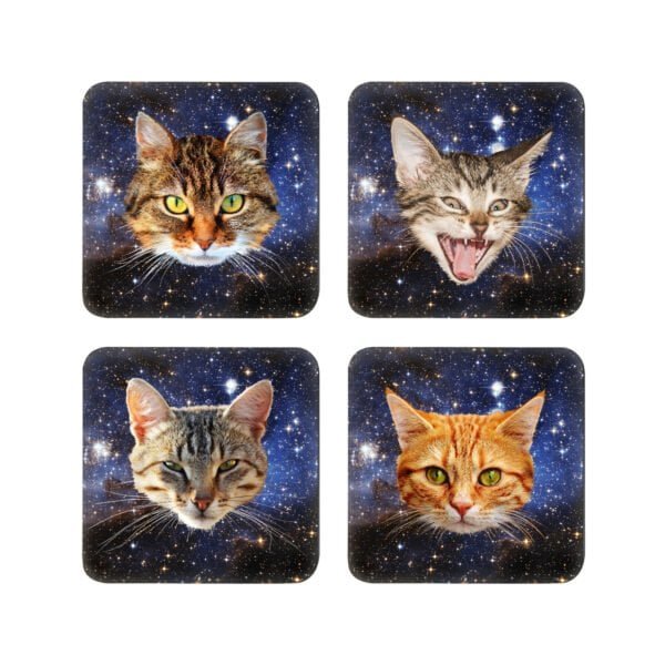 Set of 4 coasters with cat face in space images.