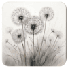 Square dandelion seed coaster with watercolor style image of dandelions printed on it.