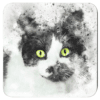 Watercolor style design of a black and white cat with green eyes.