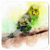 Square coaster with watercolor image of a green and yellow Parakeet printed on it.