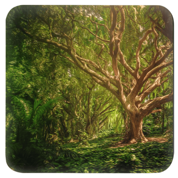 Square coaster with an image of a large green tree in the forest printed on it.
