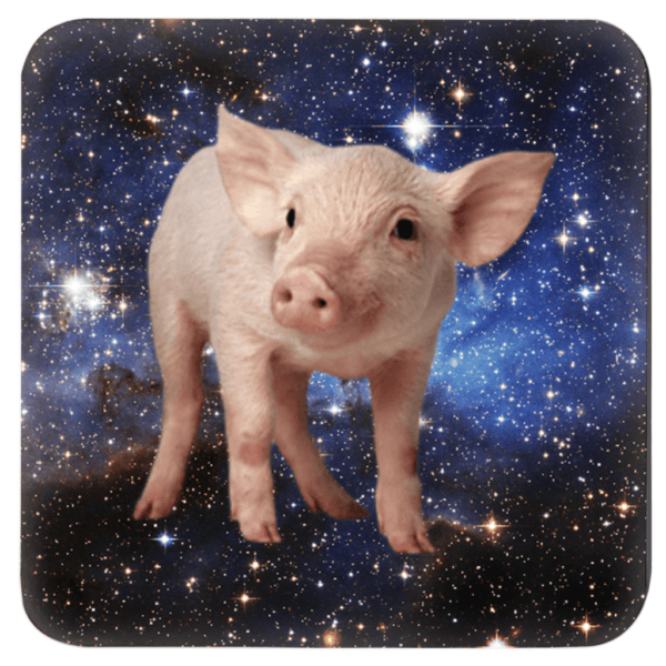 Pig with a space background image.