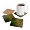 Set of 4 coasters with an image of a large green tree in the forest printed on them. Shown with a mug for scale.