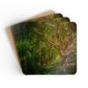 Set of 4 coasters with an image of a large green tree in the forest printed on them. Shown stacked on a table.