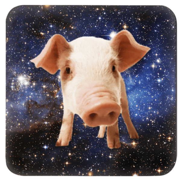 Pig with a space background image.
