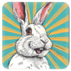 Retro comic style white bunny rabbit with aqua and yellow starburst background.