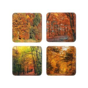 Coaster set of 4 photograph image of colorful fall trees in a forest.