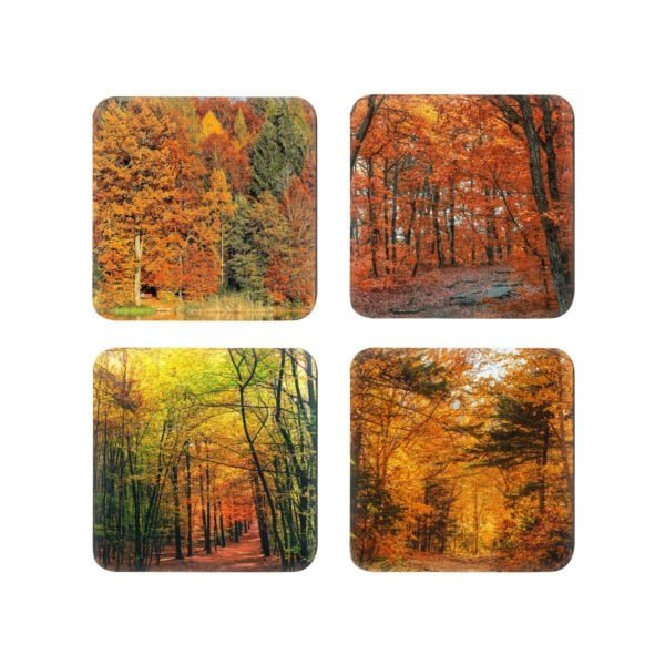 Coaster set of 4 photograph image of colorful fall trees in a forest.