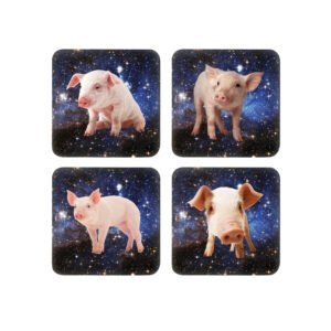 Four coasters with a different pig on them and space backgrounds arranged in a grid.