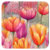 Square coaster featuring blended pink and orange watercolor tulip artwork.